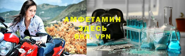 трава Беломорск
